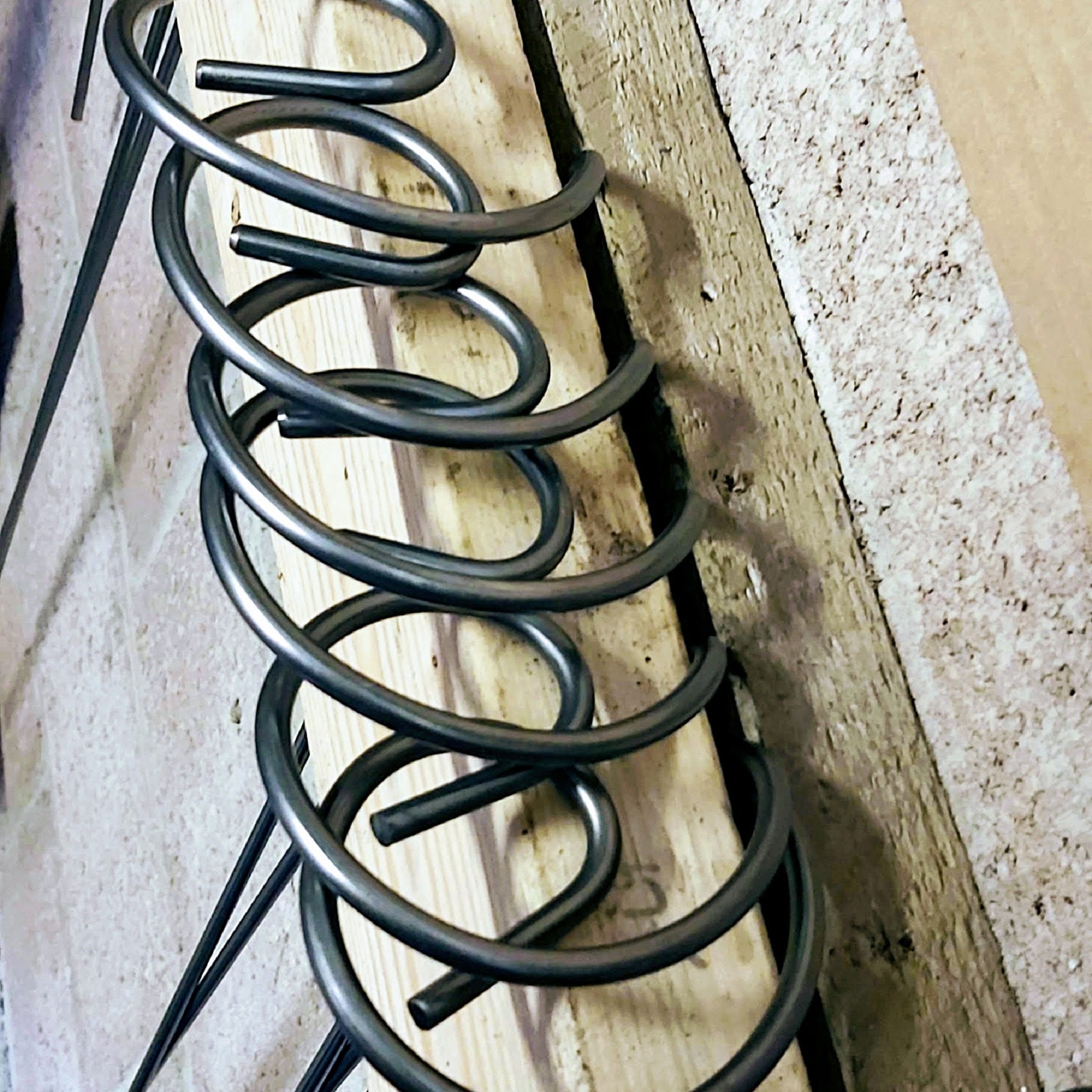 Single-stemmed steel scroll topped plant supports