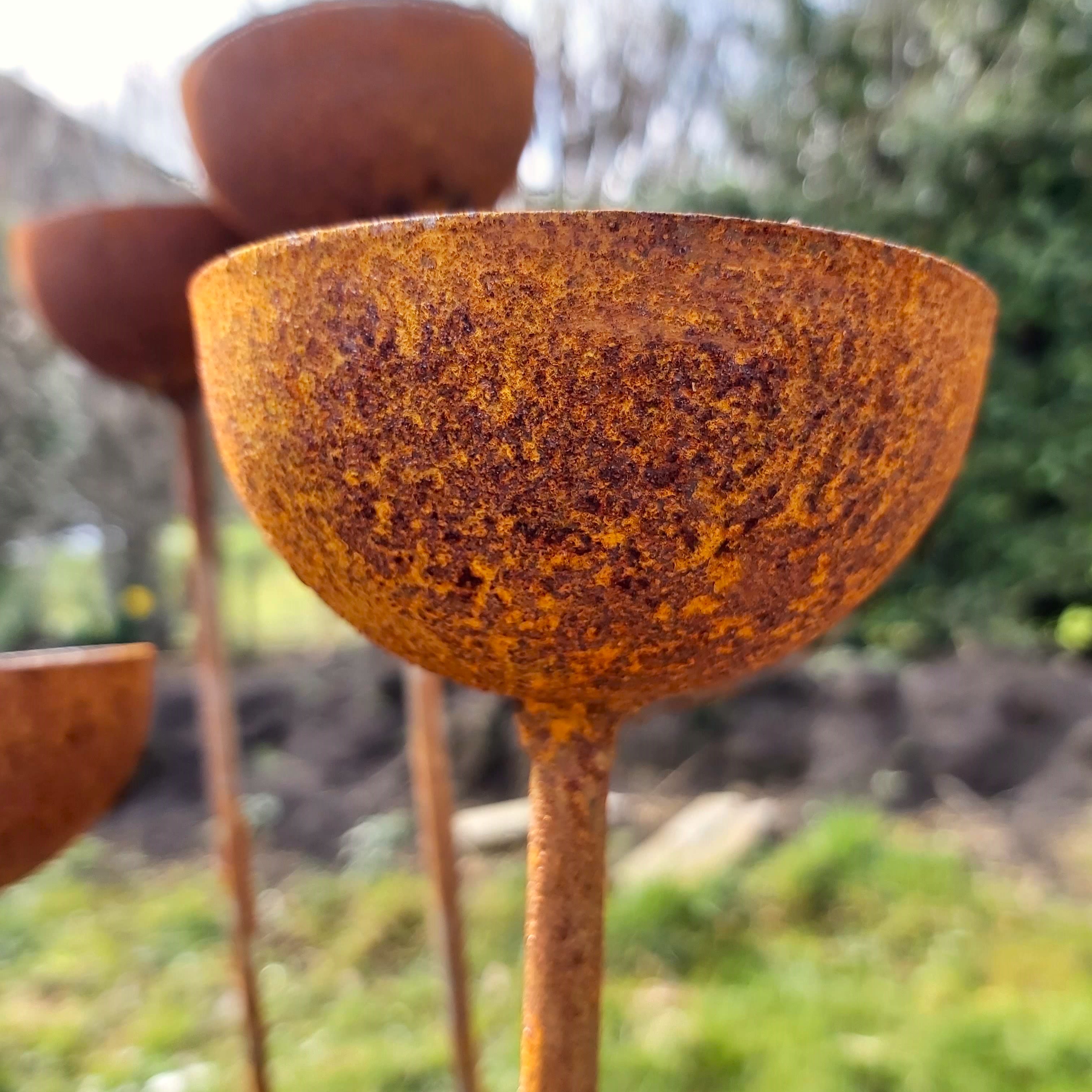 Rain Catchers / Bird Feeders / Set of three handmade in steel / small, medium & large