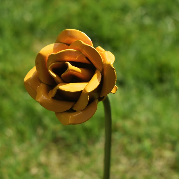 A single yellow painted steel rose