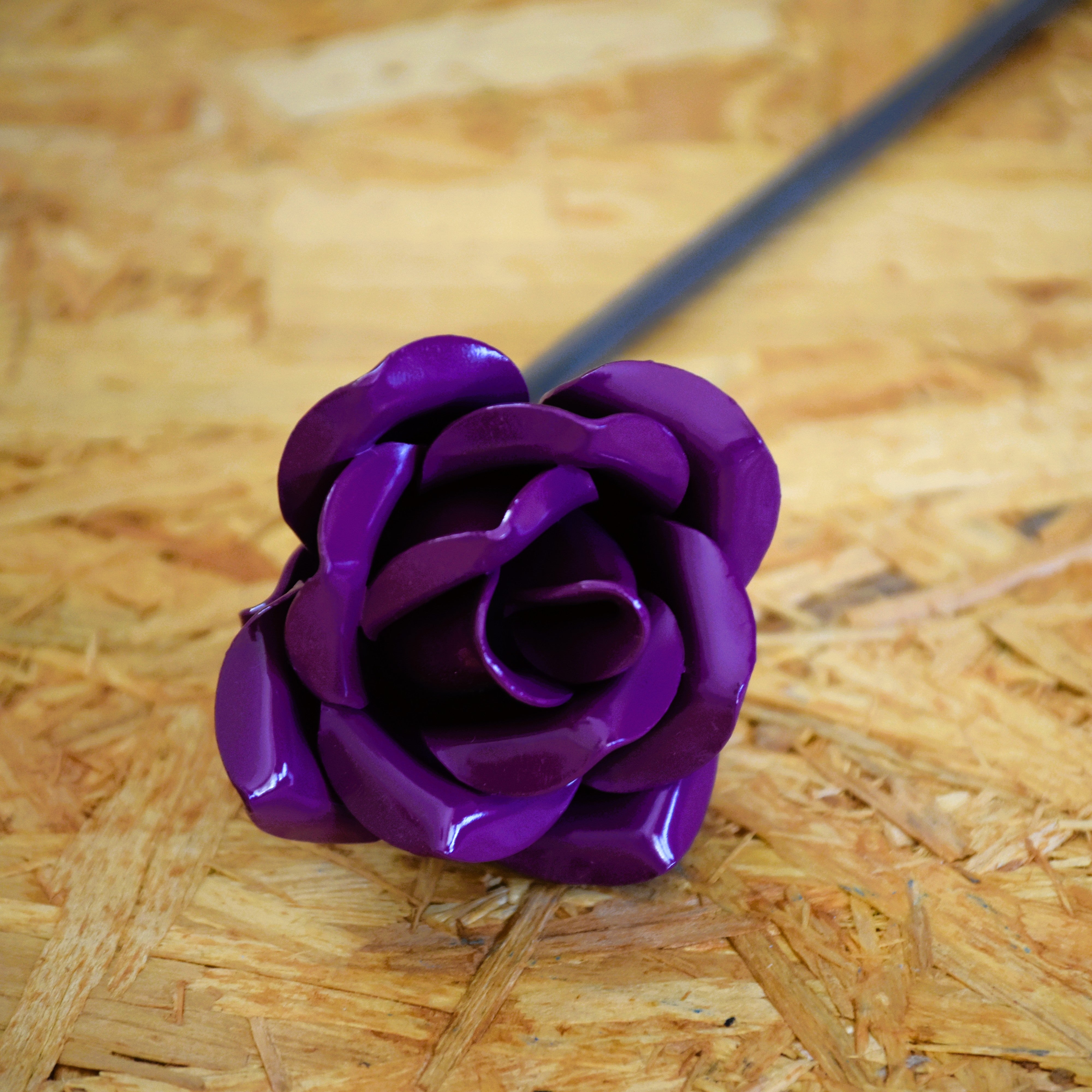 A vibrant purple coloured steel rose in closeup