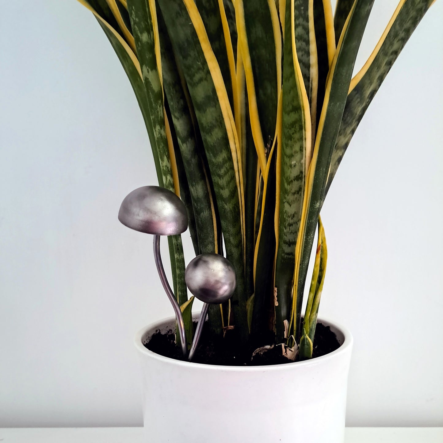 Mini toadstool plant pot decoration / steel fungi vase filler / indoor and outdoor pot pals