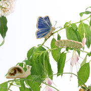 Betty Butterfly Plant Hugger Decoration